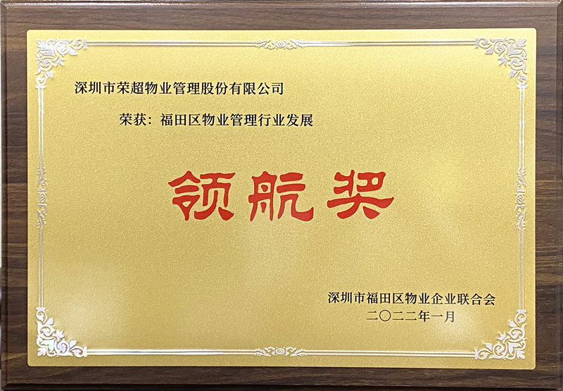 領(lǐng)航獎牌匾_副本01.jpg